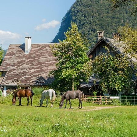 Charming Blacksmith'S House @ Lake 博希尼 外观 照片