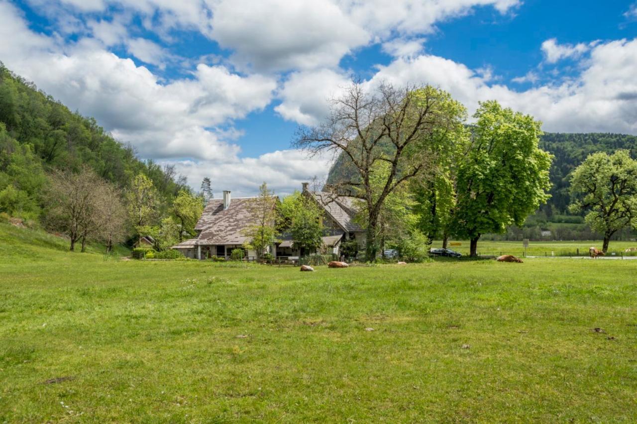 Charming Blacksmith'S House @ Lake 博希尼 外观 照片