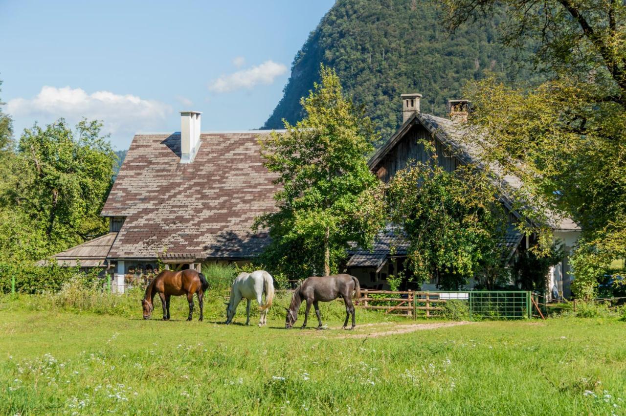 Charming Blacksmith'S House @ Lake 博希尼 外观 照片